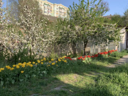 ��������� ������� ³�����, ³�������, ����� ���� ���� 20