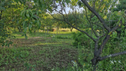 Продається будинок коло дач, Вінниця, Вінницька, Бучми фото 11 Продається будинок коло дач, Вінниця, Вінницька, Бучми фото 11