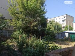 ��������� ������� ���. ����� ������(�����), ³�����, ³�������, ������ ���� 8