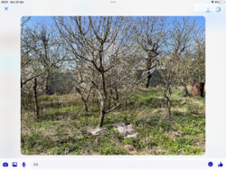 ��������� ������� ���. ������������(���������� ������), ���� -�����������, ³��������, ³������� ���� 6