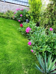 ��������� ������� ���. ������ ������������, ³�����, ³�������, ����� ���� ���� 7