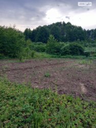 ��������� ������� ���. ������,, ��������, ³��������, ³������� ���� 12