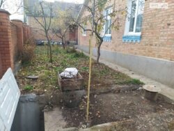 ��������� ������� ���. ������� �����(���������),, ³�����, ³�������, ����� ���� 1