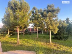 ��������� ������� ����. ������������, ³�����, ³�������, ���������� ���� ���� 11