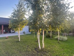 ��������� ������� ����. ������������, ³�����, ³�������, ���������� ���� ���� 8