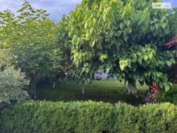 ��������� ������� ���. ���,, ����������, ³��������, ³������� ���� 2