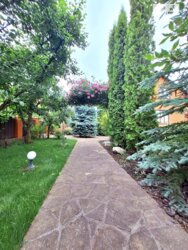 ��������� ������� ���. ����� ѳ���������, ³�����, ³�������, ����� ���� ���� 12