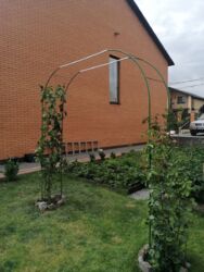 ��������� ������� ³�����, ³�������, �������� ���� 10