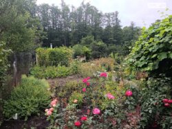 ��������� ������� ������, ���. ������, ³�����, ³������� ���� 9