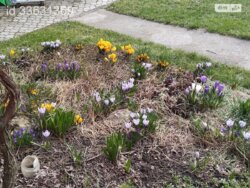 ��������� ������� ���. ������ ���������, ³�����, ³�������, ����`���� ���� 14