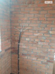 ��������� ������� ������ ��������, ³�����, ³�������, ���������� ���� 9