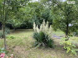 Продається будинок вул. Костя Широцького, Вінниця, Вінницька, Старе місто фото 9 Продається будинок вул. Костя Широцького, Вінниця, Вінницька, Старе місто фото 9