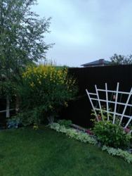 ��������� ������� ³�����, ³�������, �������� ���� 18