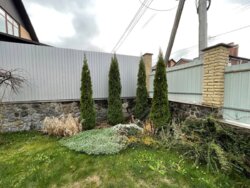 ��������� ������� ���. ������ �����, ³�����, ³�������, ������ ���� 7