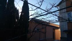 ��������� ������� ³�����, ³�������, �������� ���� 8