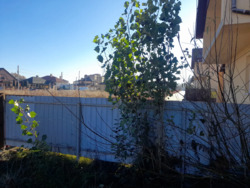 �������� ����������. ���� 11