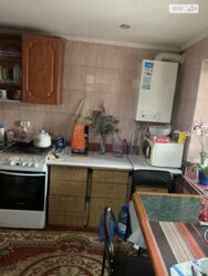 Продається будинок Вінниця, Вінницька, Бучми фото 17 Продається будинок Вінниця, Вінницька, Бучми фото 17