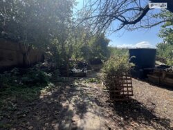 ��������� ������� ����. ������ ���������, ³�����, ³�������, ����� ���� ���� 6