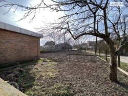 ��������� ������� ���. �����, ³�����, ³�������, ����������� ���� 10