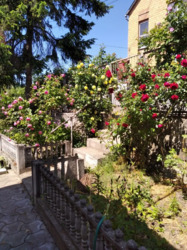 ��������� ������� ��� ���������, ³�����, ³�������, ����������� ���� 12