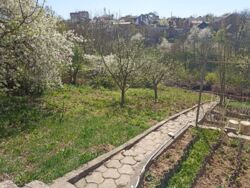 ��������� ������� ��� ���������, ³�����, ³�������, ����������� ���� 18