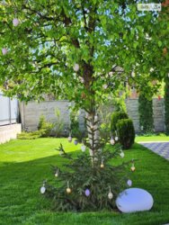 ��������� ������� ���. ������ ������������, ³�����, ³�������, ����� ���� ���� 14