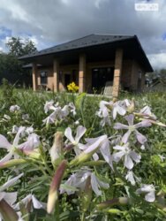 ��������� ������� ���. ��������� �������, ³�����, ³�������, ����� ���� ���� 1