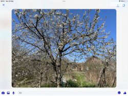 ��������� ������� ���. ������������(���������� ������), ���� -�����������, ³��������, ³������� ���� 7