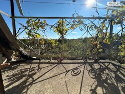 ��������� ������� ���� -�����������, ³��������, ³������� ���� 11