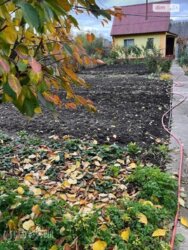 ��������� ������� ������, ������ �������,, ³�����, ³������� ���� 5