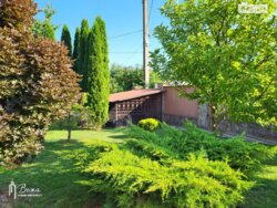 ��������� ������� 1-� ����. ���������� ����, ³�����, ³�������, ���������� ���� 19