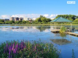 Продається будинок вул. Подільська, Вінниця, Вінницька, Пирогово фото 3 Продається будинок вул. Подільська, Вінниця, Вінницька, Пирогово фото 3