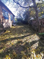 ��������� ������� ��������, ³��������, ³������� ���� 5