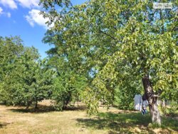 ��������� ������� ���. ����� �������, ³�����, ³�������, ����� ���� ���� 10