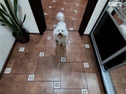 Продається будинок вул. Єдності, Вінниця, Вінницька, Тяжилів фото 19 Продається будинок вул. Єдності, Вінниця, Вінницька, Тяжилів фото 19