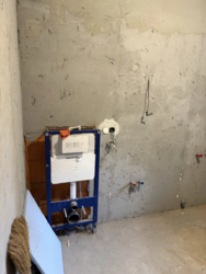 ��������� ������� ���������, ³�����, ³�������, ���������� ���� 11