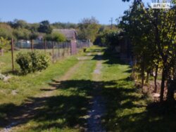 Продається будинок Петрик рибаче, Вінниця, Вінницька фото 3 Продається будинок Петрик рибаче, Вінниця, Вінницька фото 3