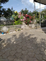 ��������� ������� ��� ���������, ³�����, ³�������, ����������� ���� 11