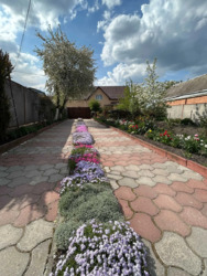 ��������� ������� ³�����, ³�������, ������� ���� 6