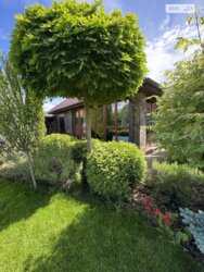 ��������� ������� ����. ��������, ³�����, ³�������, �������� ���� 12