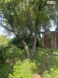 ��������� ������� ������, ���. ������, ³�����, ³������� ���� 8