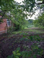 ��������� ������� ���. ������,, ��������, ³��������, ³������� ���� 8