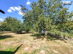 ��������� ������� ���. ����� �������, ³�����, ³�������, ����� ���� ���� 9