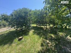 ��������� ������� ������, ���. ������,, ³�����, ³������� ���� 17