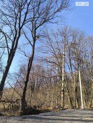 ��������� ������� ���. ������, ³�����, ³�������, ϒ�������� ���� 2