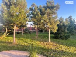 ��������� ������� ����. ������������, ³�����, ³�������, ���������� ���� ���� 7