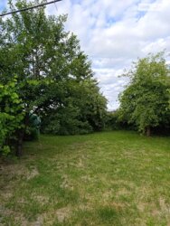 Продається будинок Петрик, мас. Рибаче, Вінниця, Вінницька фото 7 Продається будинок Петрик, мас. Рибаче, Вінниця, Вінницька фото 7