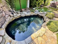 Продається будинок пров. Козацький, Вінниця, Вінницька, Пирогово фото 10 Продається будинок пров. Козацький, Вінниця, Вінницька, Пирогово фото 10