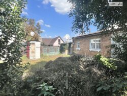 ��������� ������� ����. ������ ���������, ³�����, ³�������, ����� ���� ���� 18