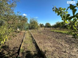 ��������� ������� ���� -�����������, ³��������, ³������� ���� 14